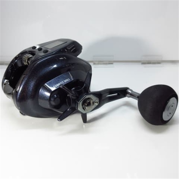 ２３レオブリッツ３００Ｊ